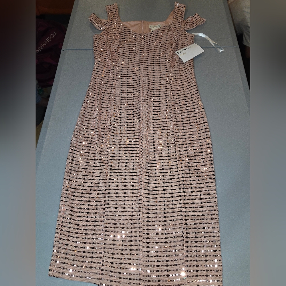 Enfocus Studio Blush Sequin Dress (6c14) - Picture 1 of 6